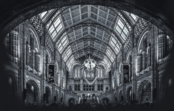 Photograph Ignacio Alvar  Thomas Natural History Museum on One Eyeland
