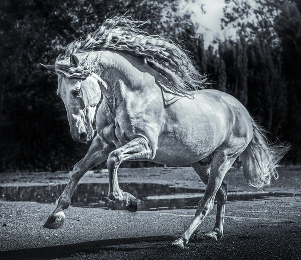 Photograph Ignacio Alvar  Thomas Argentino Xxv on One Eyeland