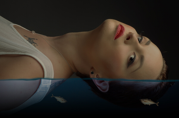 Photograph Paul Adrian Chis Aquarium on One Eyeland