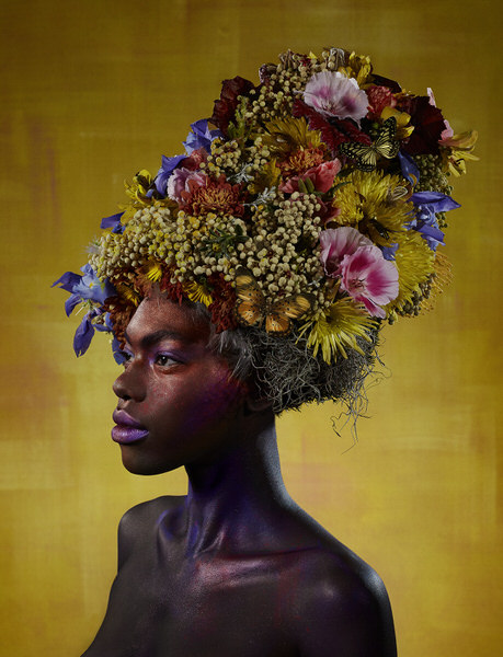 Photograph Russell Smith Golden Queen on One Eyeland