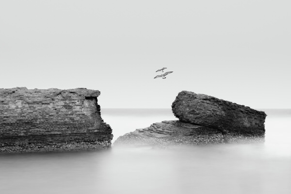 Photograph Ashim Dey Ruins And Gulls on One Eyeland