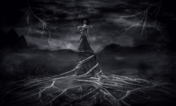 Photograph Jackson Carvalho Rooted on One Eyeland
