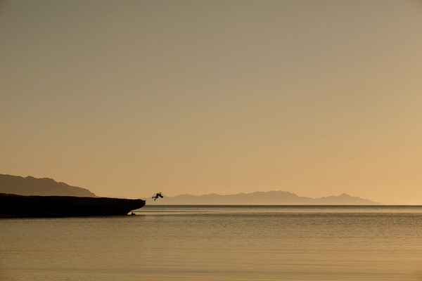 Photograph Woods Wheatcroft Sea Of Cortez on One Eyeland