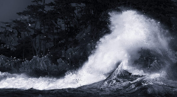 Photograph Suk Eun Kim Seagull And Waves on One Eyeland