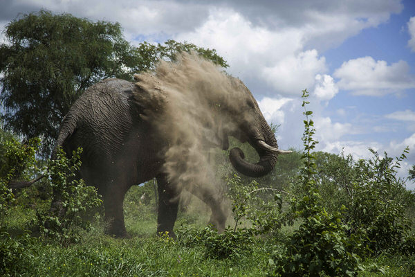 Photograph Dieter Setz Nothing Better Than A Sandbath on One Eyeland