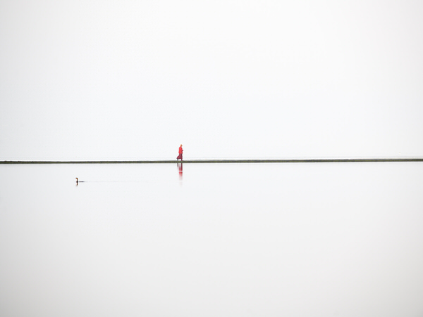 Photograph Craig Easton The Lake I on One Eyeland