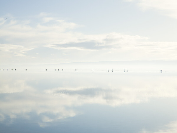 Photograph Craig Easton The Lake Iii on One Eyeland