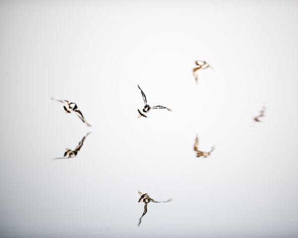 Photograph Craig Easton The Lake Xii on One Eyeland