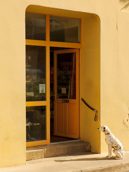 Photograph Craig Easton From The Series A Dogs Life on One Eyeland