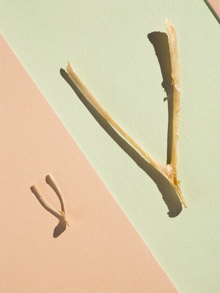 Photograph Graham Tooby Wish Bones on One Eyeland