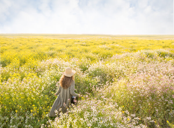 Photograph Mac Holt Spring Bloom on One Eyeland