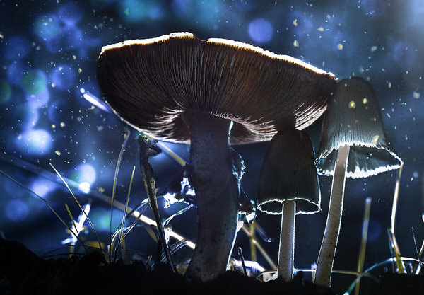 Photograph Антон Шевченко Cosmos on One Eyeland