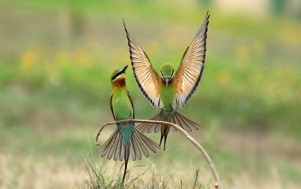 Photograph Prasanna Bhat The Display on One Eyeland