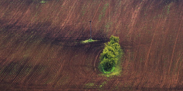 Photograph Suk Eun Kim The Abstraction Of The Farmer on One Eyeland