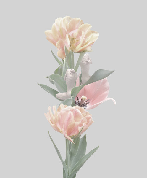 Photograph Sui Sawada Self Portrait Tulip on One Eyeland