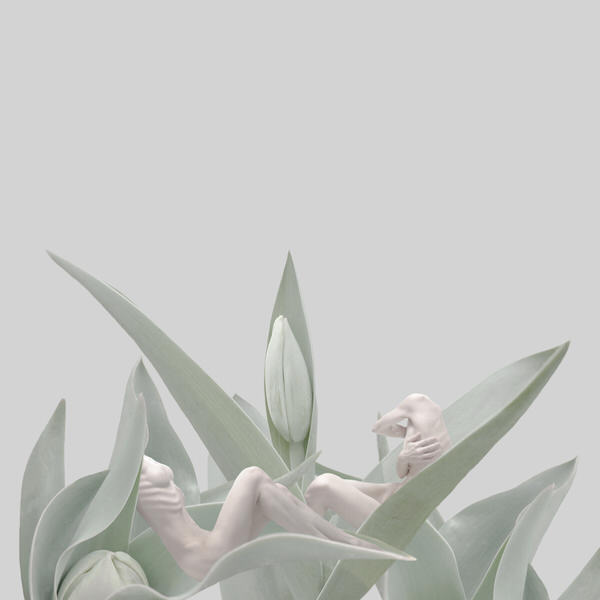 Photograph Sui Sawada Self Portrait Tulip on One Eyeland