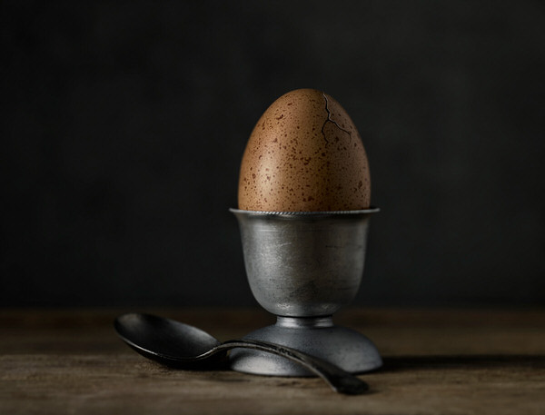 Photograph Greg Stroube Egg Cover on One Eyeland