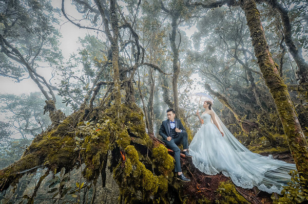 Photograph Lawrence Chin Nature Of Love on One Eyeland