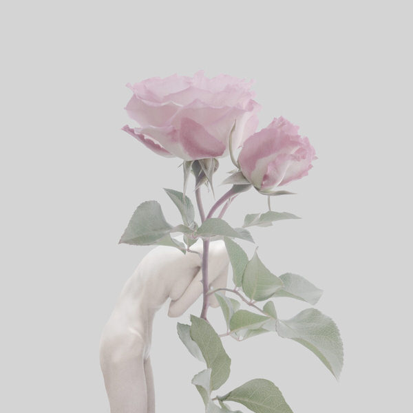 Photograph Sui Sawada Self Portrait Rose on One Eyeland