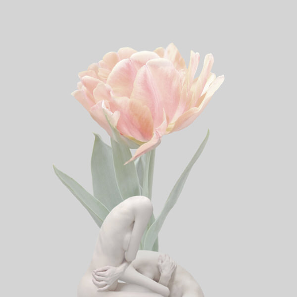 Photograph Sui Sawada Self Portrait Tulip on One Eyeland