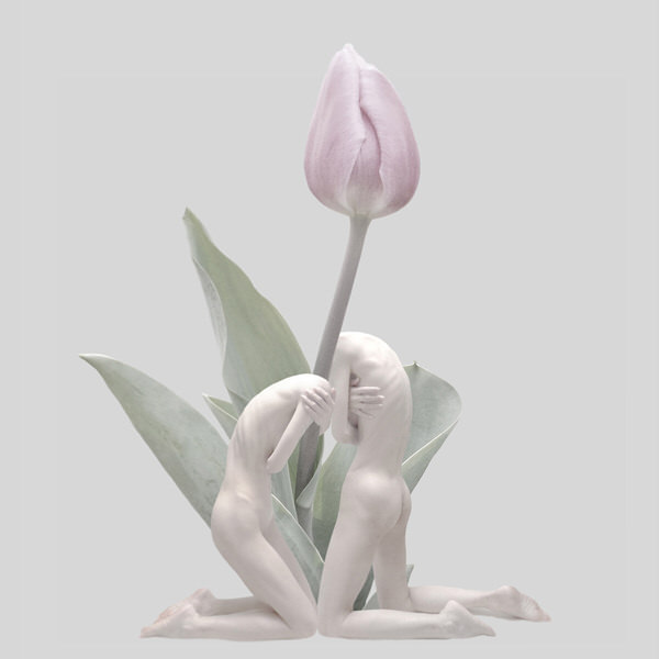 Photograph Sui Sawada Self Portrait Tulip on One Eyeland