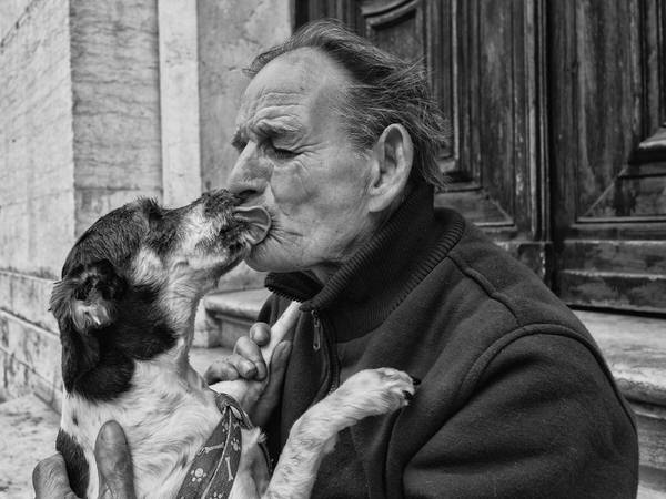 Photograph Isaque Neves I Love My Dog on One Eyeland