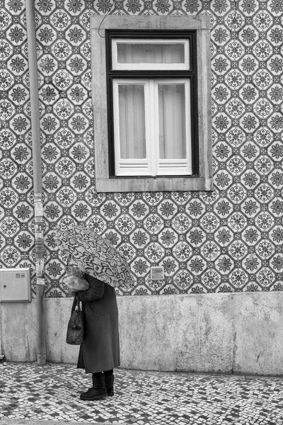 Photograph Isaque Neves Karma Chameleon on One Eyeland