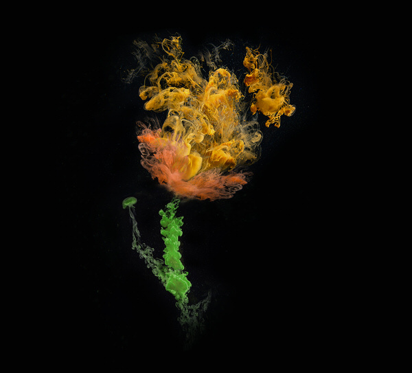 Photograph Антон Шевченко Bloom on One Eyeland