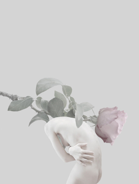 Photograph Sui Sawada Self Portrait Rose on One Eyeland