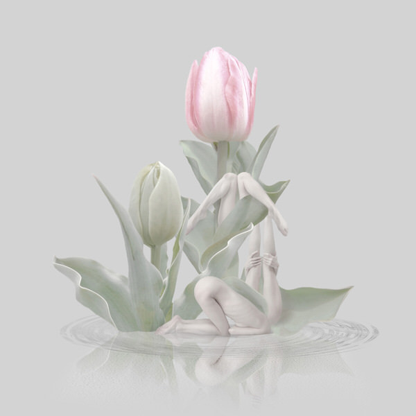 Photograph Sui Sawada Self Portrait Tulip on One Eyeland