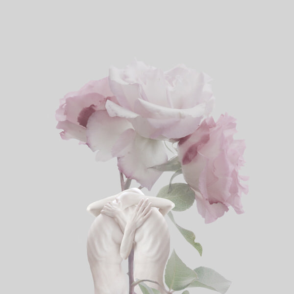 Photograph Sui Sawada Self Portrait Rose on One Eyeland