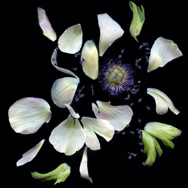 Photograph Raffaella Stringa Disconnected on One Eyeland