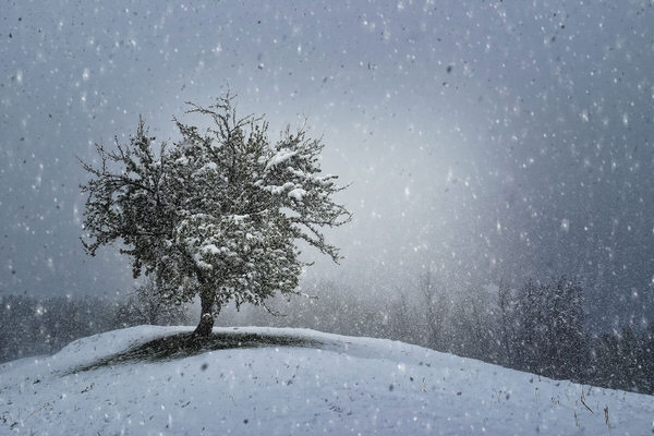 Photograph Gi Na Snowstorm on One Eyeland