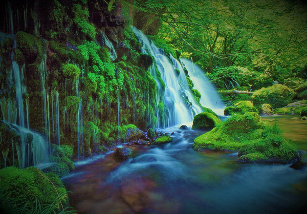 Photograph Chikara Amano Waterfall Of Moss on One Eyeland