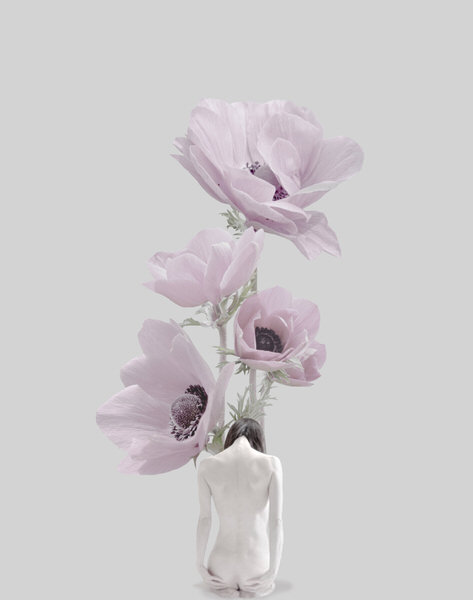 Photograph Sui Sawada Self Portrait Anemone Coronaria on One Eyeland