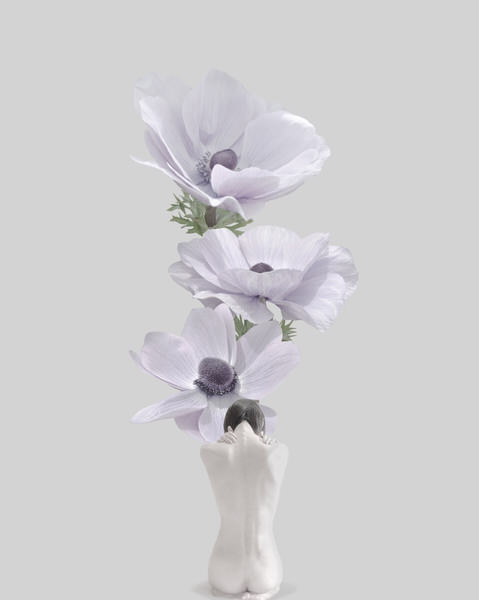 Photograph Sui Sawada Self Portrait Anemone Coronaria on One Eyeland