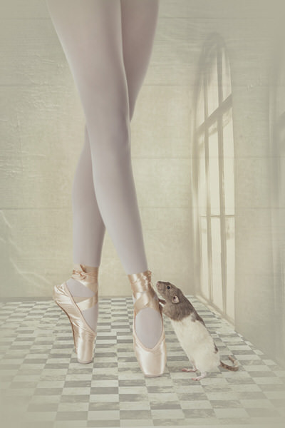 Photograph Carola Kayen Mouthaan Ballet on One Eyeland