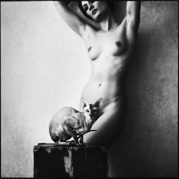 Photograph Damian Hovhannisyan Cat And A Woman on One Eyeland