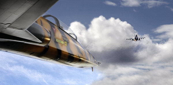 Photograph Elmer Laahne Dogfight on One Eyeland