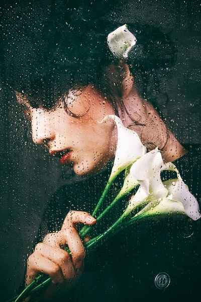 Photograph Daisuke Kiyota Calla Lily on One Eyeland