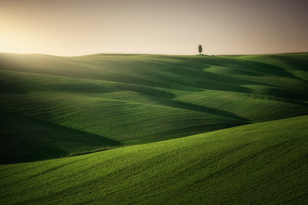 Photograph Alvaro Sanchez Green on One Eyeland