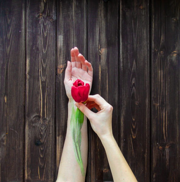 Photograph Olga Paratinskaya Tulip By Heart on One Eyeland