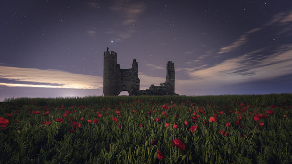 Photograph Pedro Banos Photography Poppies Castle on One Eyeland
