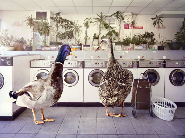 Photograph Graham Tooby Launderette on One Eyeland