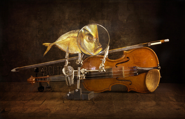 Photograph Valentin Ivantsov Fish And Violin on One Eyeland