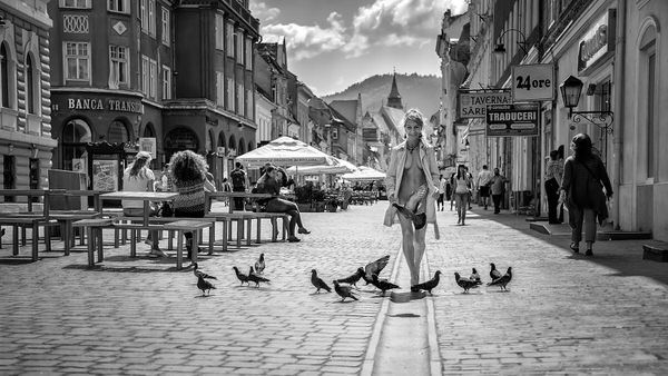 Photograph Andrei Grososiu Pigeon Impossible on One Eyeland