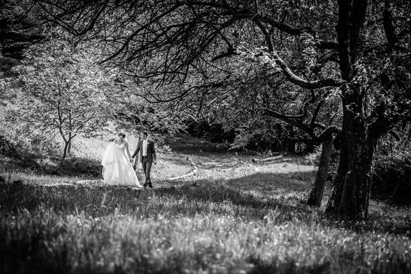 Photograph Lubos Vrtik The Park on One Eyeland