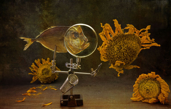Photograph Valentin Ivantsov Fish And Falling Sunflowers on One Eyeland