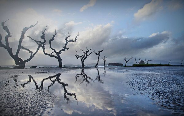 Photograph Benjamim Leandro Medeiros Amanhecer Em Ti on One Eyeland