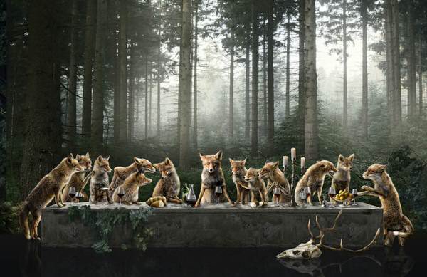 Photograph Jeannette Oerlemans The Last Meal on One Eyeland